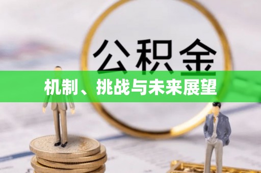 宣城机制、挑战与未来展望